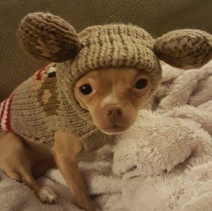 Meet your Posher, Laurie